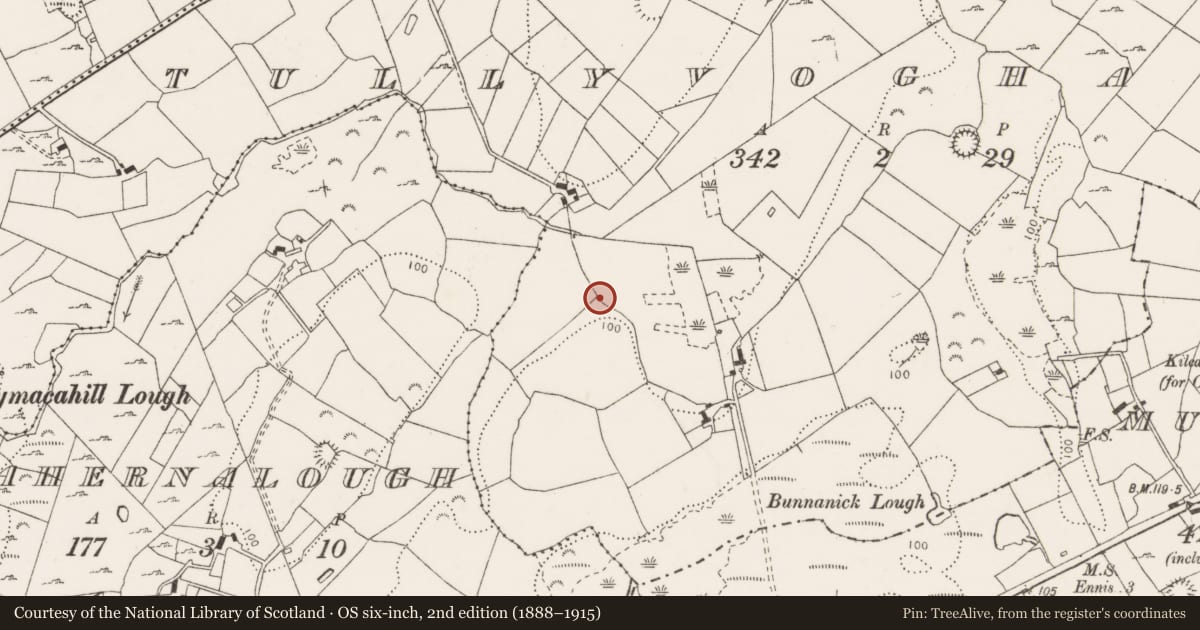 Ordnance Survey six-inch map, 2nd edition (1888–1915) covering the location of Earthwork, Tullyvoghan, County Clare, with a pin at the register's coordinates