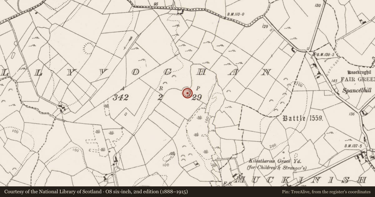 Ordnance Survey six-inch map, 2nd edition (1888–1915) covering the location of Ringfort - rath, Tullyvoghan, County Clare, with a pin at the register's coordinates
