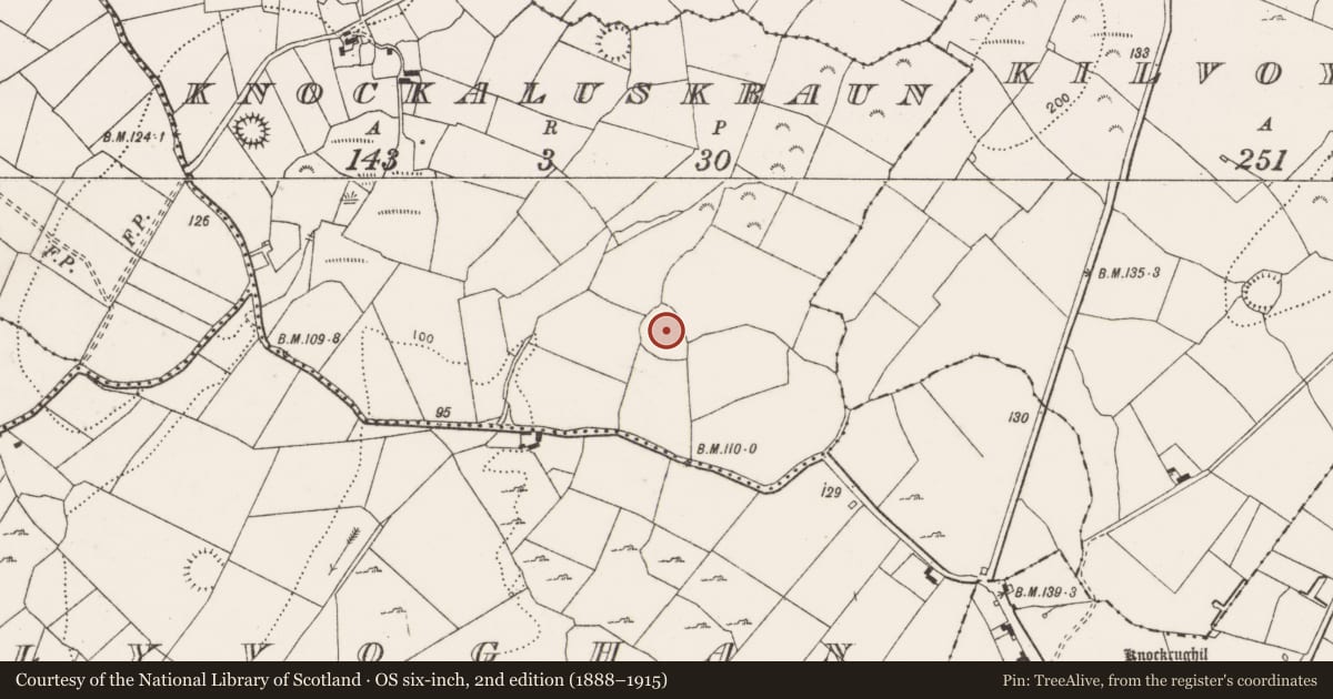 Ordnance Survey six-inch map, 2nd edition (1888–1915) covering the location of Ringfort - cashel, Knockaluskraun, County Clare, with a pin at the register's coordinates