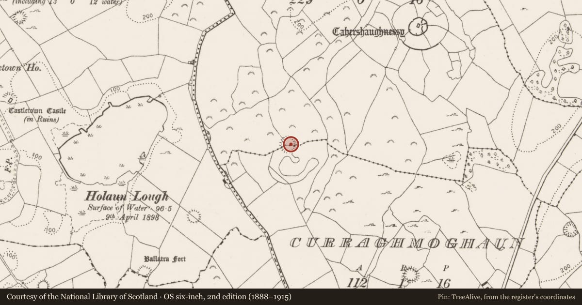 Ordnance Survey six-inch map, 2nd edition (1888–1915) covering the location of Road - road/trackway, Curraghmoghaun, County Clare, with a pin at the register's coordinates