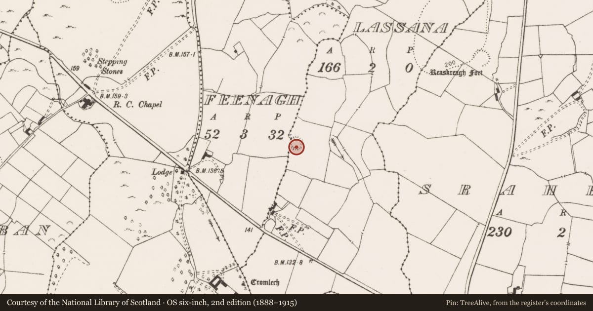 Ordnance Survey six-inch map, 2nd edition (1888–1915) covering the location of Ringfort - rath, Lassana, County Clare, with a pin at the register's coordinates