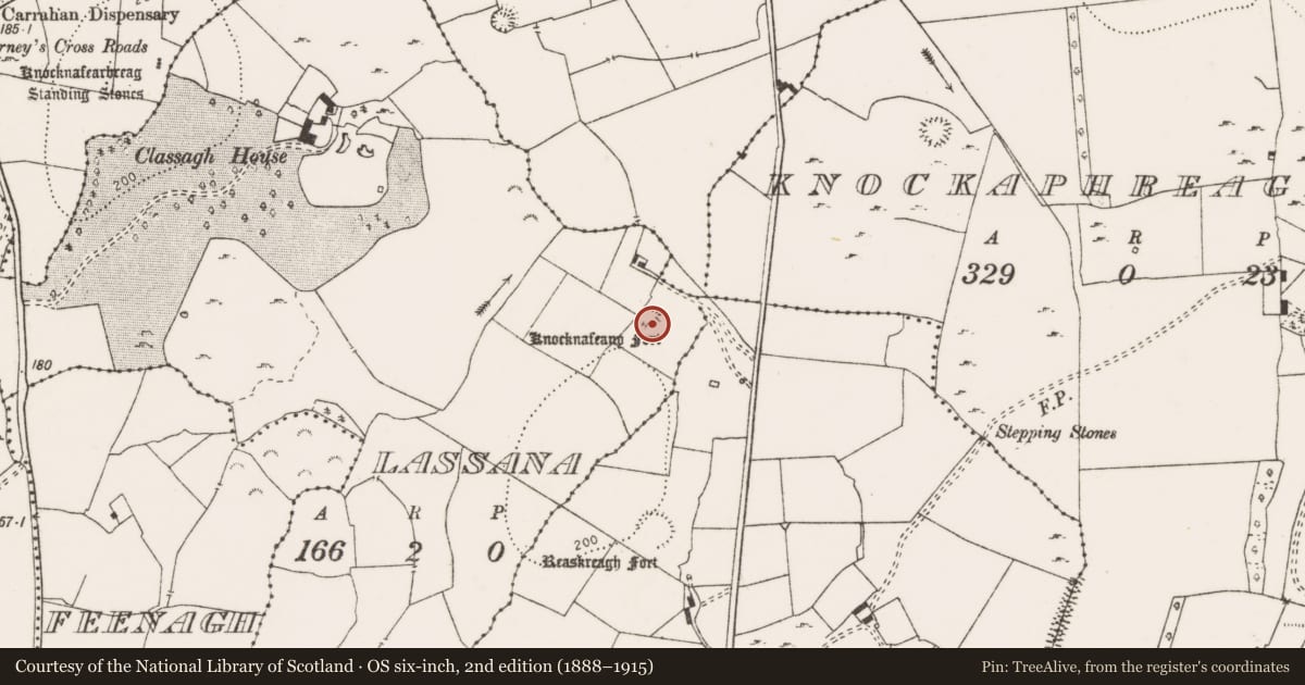 Ordnance Survey six-inch map, 2nd edition (1888–1915) covering the location of Ringfort - rath, Lassana, County Clare, with a pin at the register's coordinates