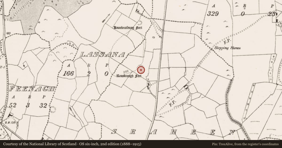 Ordnance Survey six-inch map, 2nd edition (1888–1915) covering the location of Ringfort - rath, Sraheen, County Clare, with a pin at the register's coordinates