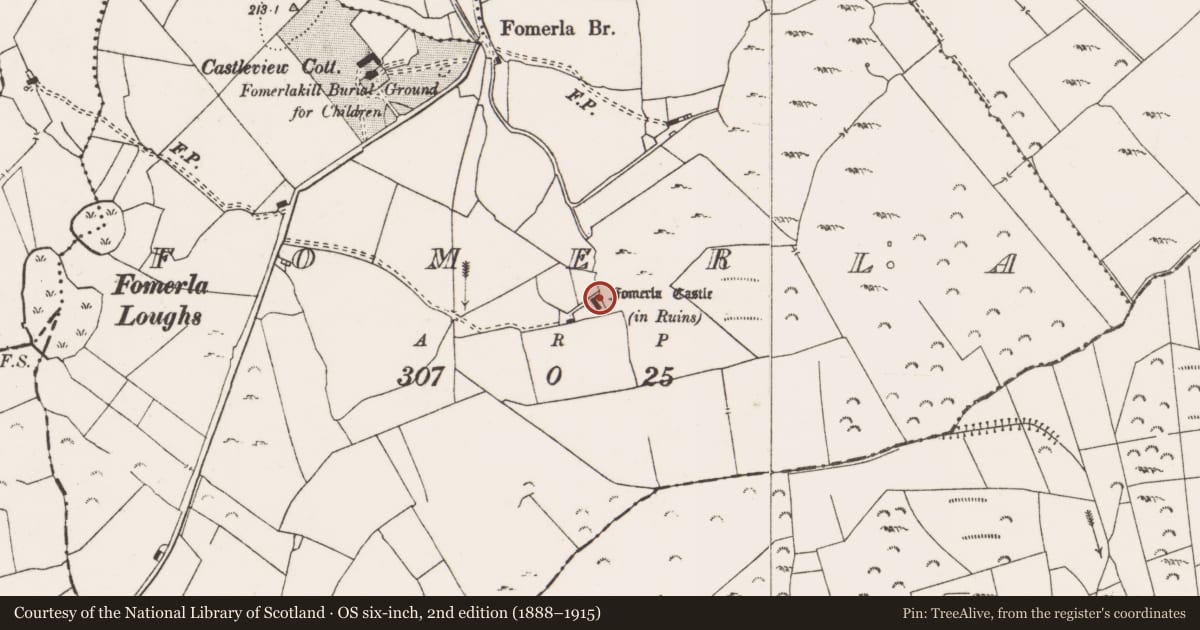 Ordnance Survey six-inch map, 2nd edition (1888–1915) covering the location of Castle - tower house, Fomerla, County Clare, with a pin at the register's coordinates