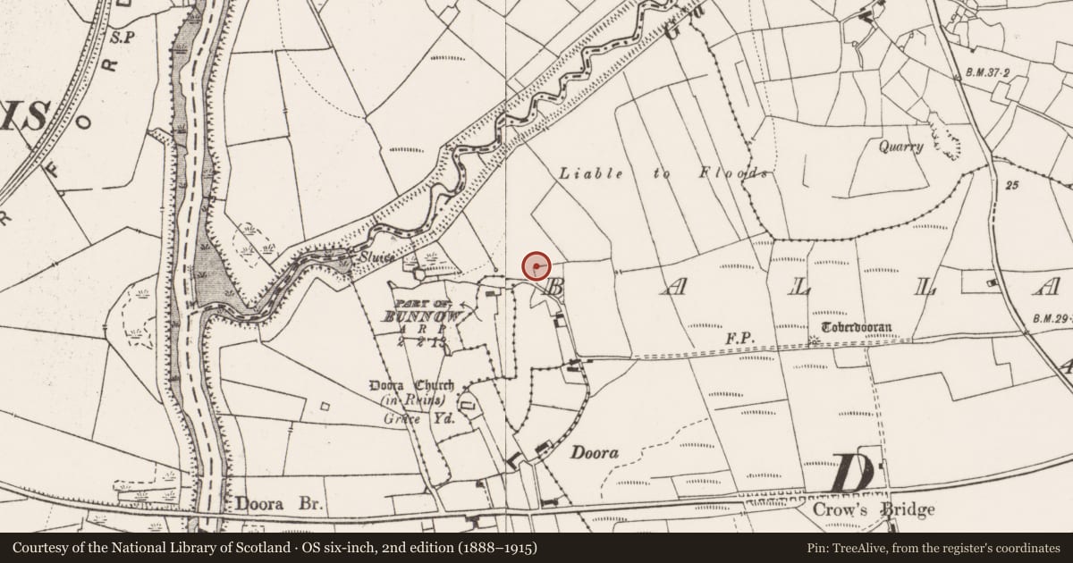 Ordnance Survey six-inch map, 2nd edition (1888–1915) covering the location of Ringfort - rath, Ballaghboy, County Clare, with a pin at the register's coordinates