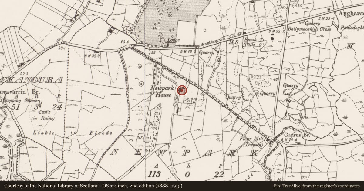 Ordnance Survey six-inch map, 2nd edition (1888–1915) covering the location of House - 16th/17th century, Newpark, County Clare, with a pin at the register's coordinates
