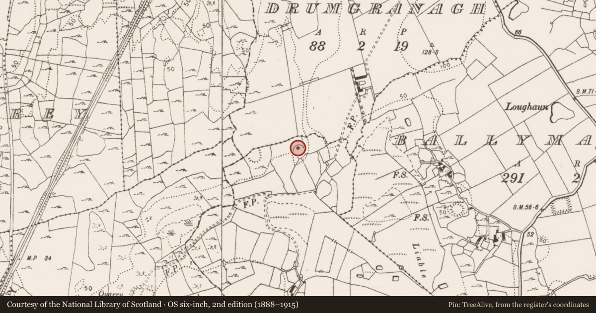 Ordnance Survey six-inch map, 2nd edition (1888–1915) covering the location of Ringfort - cashel, Rosslevan, County Clare, with a pin at the register's coordinates