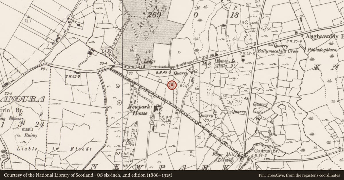 Ordnance Survey six-inch map, 2nd edition (1888–1915) covering the location of Ringfort - rath, Rosslevan, County Clare, with a pin at the register's coordinates