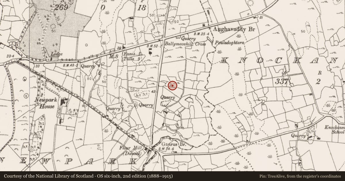 Ordnance Survey six-inch map, 2nd edition (1888–1915) covering the location of Earthwork, Rosslevan, County Clare, with a pin at the register's coordinates