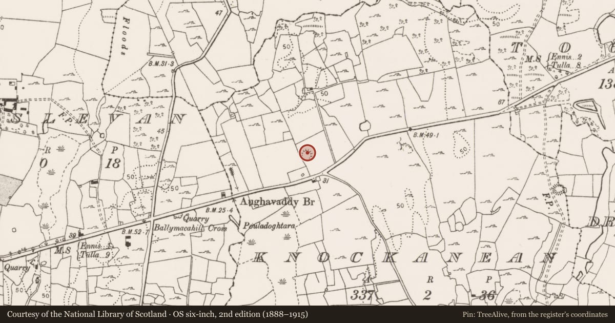 Ordnance Survey six-inch map, 2nd edition (1888–1915) covering the location of Ringfort - cashel, Knockanean, County Clare, with a pin at the register's coordinates