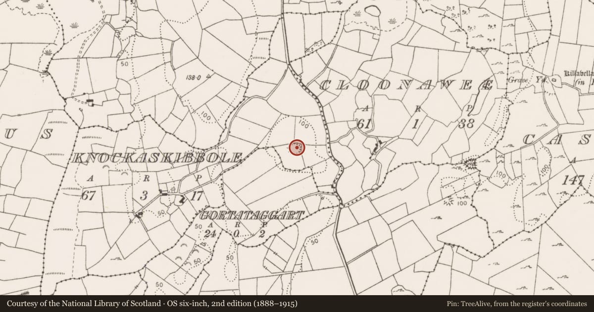 Ordnance Survey six-inch map, 2nd edition (1888–1915) covering the location of Ringfort - cashel, Knockaskibbole, County Clare, with a pin at the register's coordinates