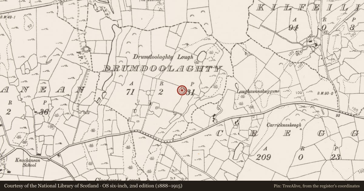 Ordnance Survey six-inch map, 2nd edition (1888–1915) covering the location of Ringfort - cashel, Drumdoolaghty, County Clare, with a pin at the register's coordinates
