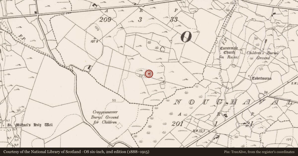 Ordnance Survey six-inch map, 2nd edition (1888–1915) covering the location of Ringfort - cashel, Knockhogan, County Clare, with a pin at the register's coordinates