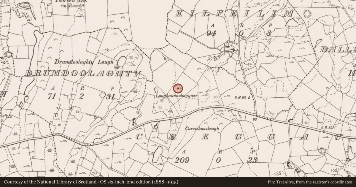 Ordnance Survey six-inch map, 2nd edition (1888–1915) covering the location of Souterrain, Creggaun, County Clare, with a pin at the register's coordinates