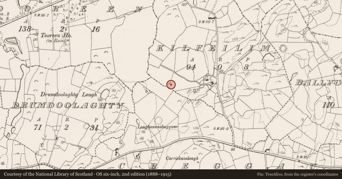 Ordnance Survey six-inch map, 2nd edition (1888–1915) covering the location of Ringfort - cashel, Kilfeilim, County Clare, with a pin at the register's coordinates