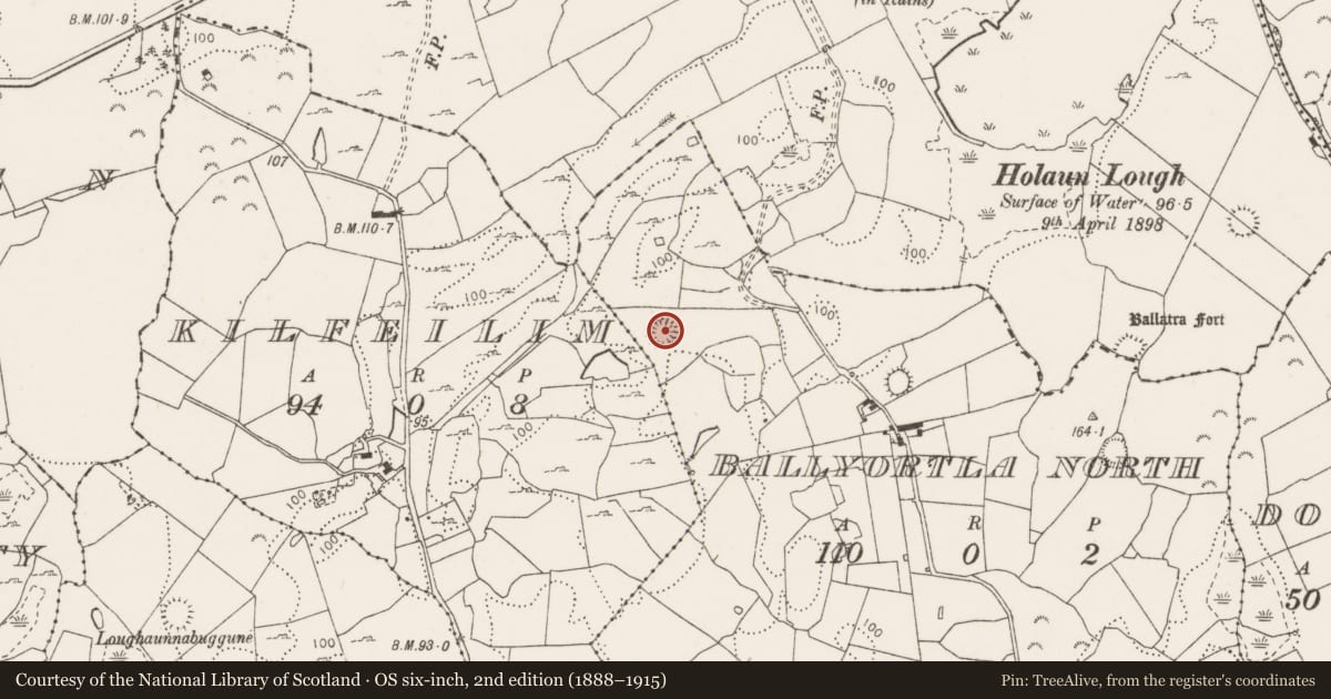 Ordnance Survey six-inch map, 2nd edition (1888–1915) covering the location of Ringfort - cashel, Kilfeilim, County Clare, with a pin at the register's coordinates