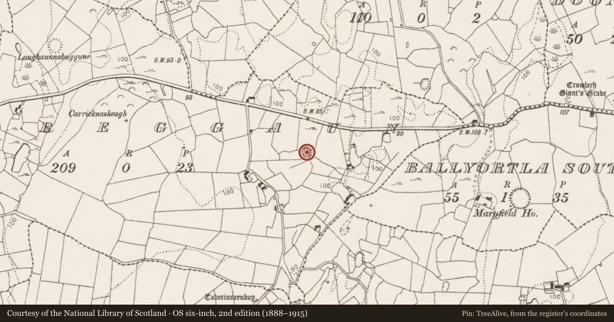 Ordnance Survey six-inch map, 2nd edition (1888–1915) covering the location of Ringfort - cashel, Creggaun, County Clare, with a pin at the register's coordinates