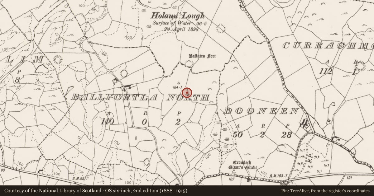Ordnance Survey six-inch map, 2nd edition (1888–1915) covering the location of Ringfort - rath, Ballyortla North, County Clare, with a pin at the register's coordinates