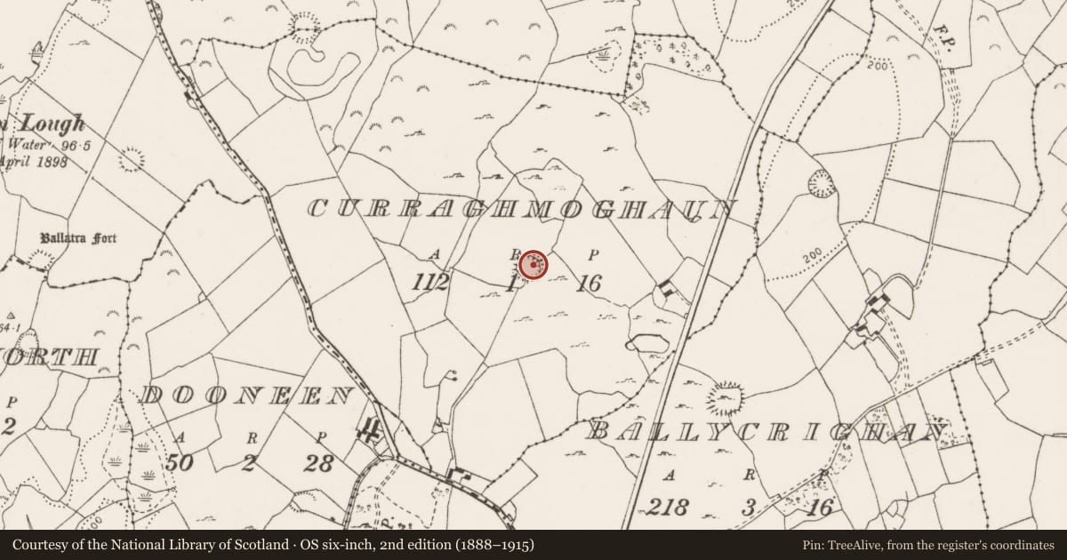 Ordnance Survey six-inch map, 2nd edition (1888–1915) covering the location of Ringfort - cashel, Curraghmoghaun, County Clare, with a pin at the register's coordinates