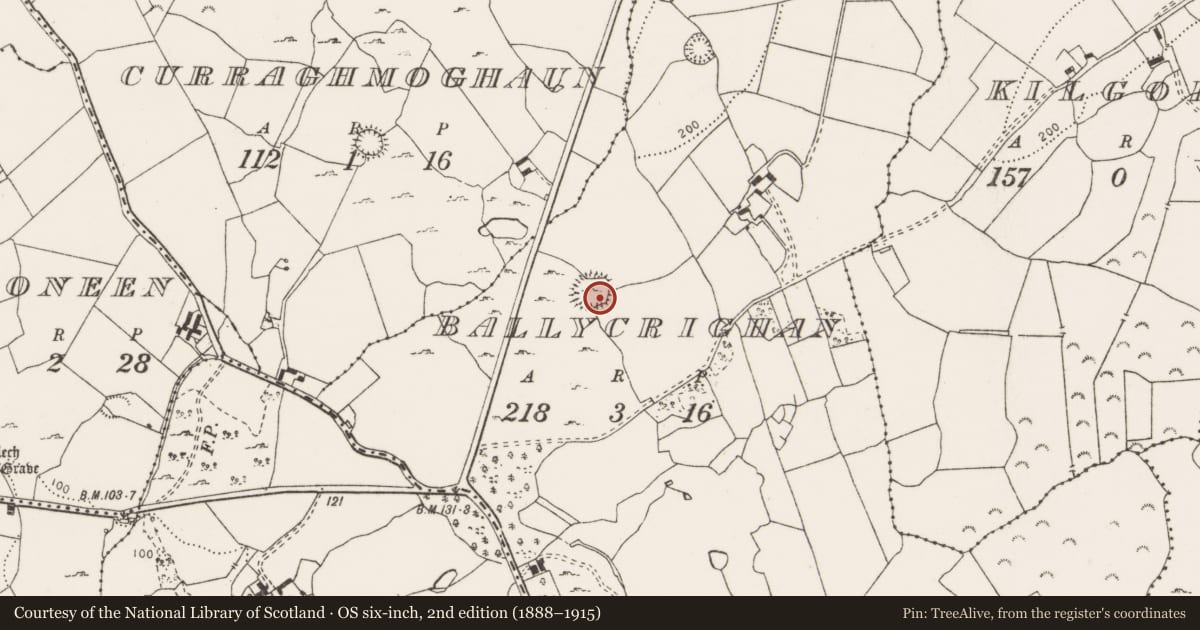 Ordnance Survey six-inch map, 2nd edition (1888–1915) covering the location of Ringfort - cashel, Ballycrighan, County Clare, with a pin at the register's coordinates