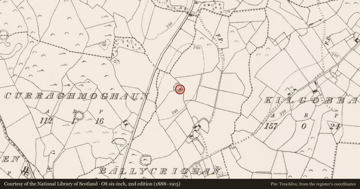 Ordnance Survey six-inch map, 2nd edition (1888–1915) covering the location of Ringfort - rath, Ballycrighan, County Clare, with a pin at the register's coordinates