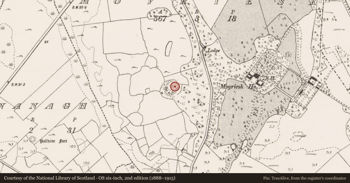 Ordnance Survey six-inch map, 2nd edition (1888–1915) covering the location of Ringfort - cashel, Moyriesk, County Clare, with a pin at the register's coordinates