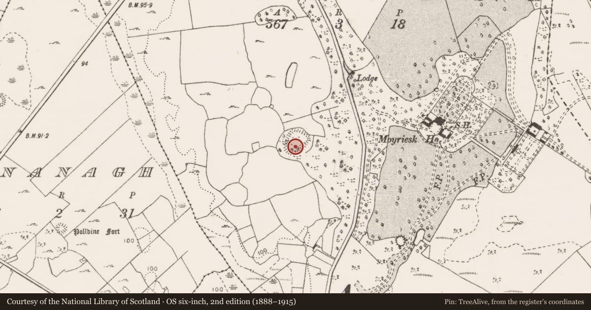 Ordnance Survey six-inch map, 2nd edition (1888–1915) covering the location of Ringfort - cashel, Moyriesk, County Clare, with a pin at the register's coordinates