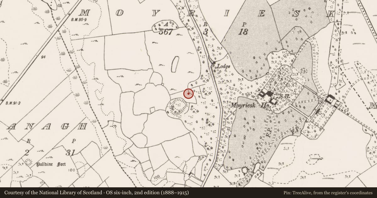 Ordnance Survey six-inch map, 2nd edition (1888–1915) covering the location of Ringfort - cashel, Moyriesk, County Clare, with a pin at the register's coordinates