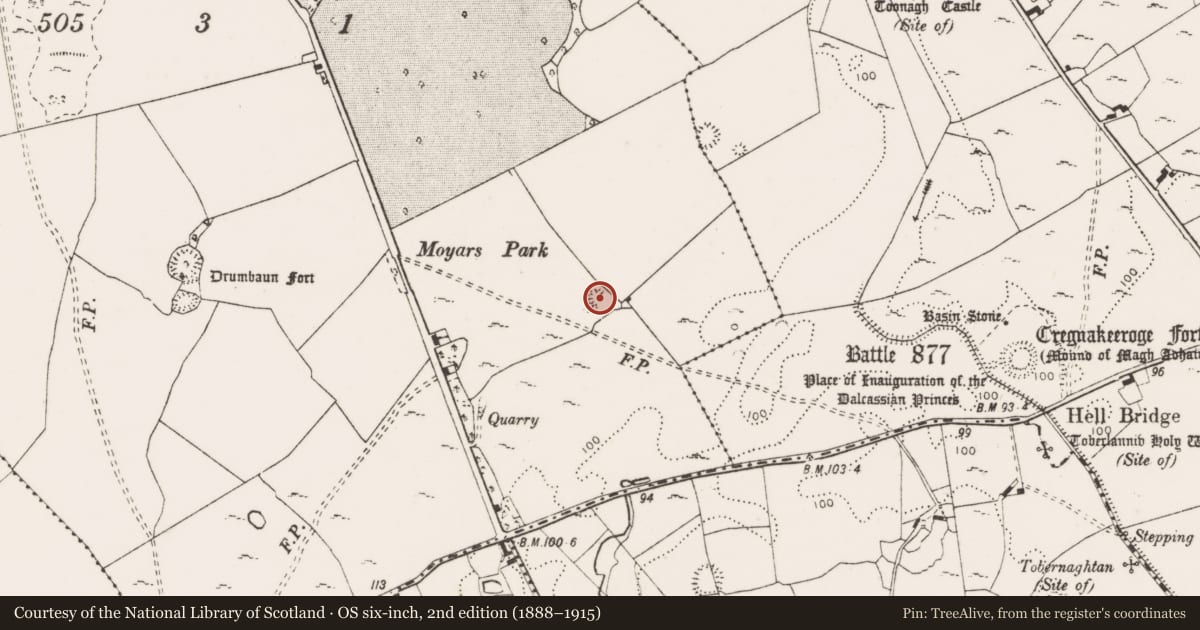 Ordnance Survey six-inch map, 2nd edition (1888–1915) covering the location of Ringfort - rath, Corbally, County Clare, with a pin at the register's coordinates
