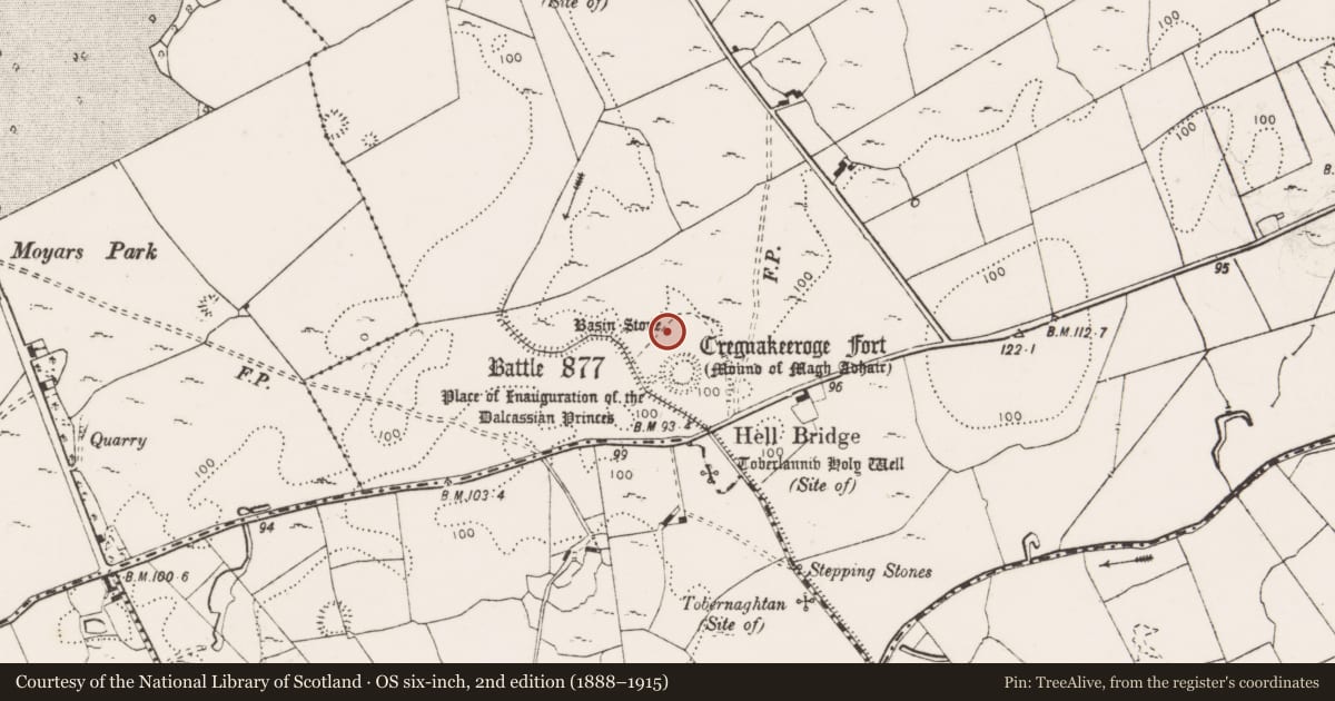 Ordnance Survey six-inch map, 2nd edition (1888–1915) covering the location of Bullaun stone, Toonagh, County Clare, with a pin at the register's coordinates