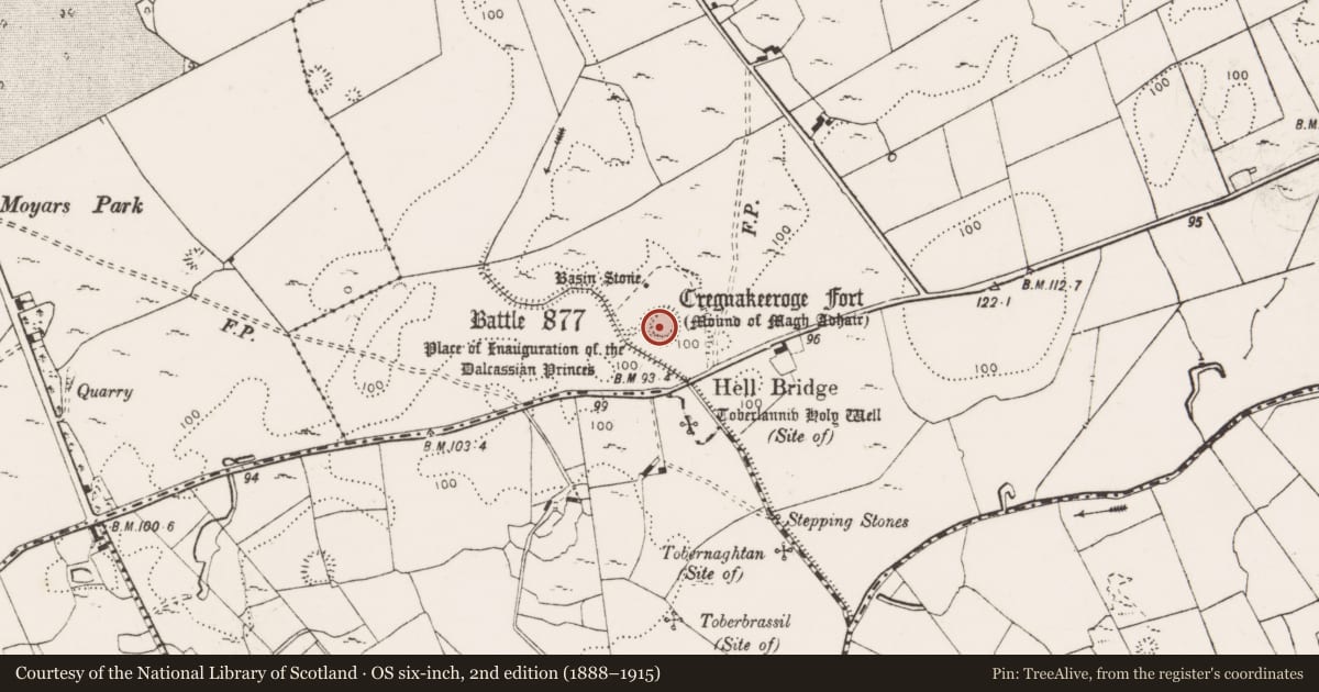 Ordnance Survey six-inch map, 2nd edition (1888–1915) covering the location of Inauguration site, Toonagh, County Clare, with a pin at the register's coordinates