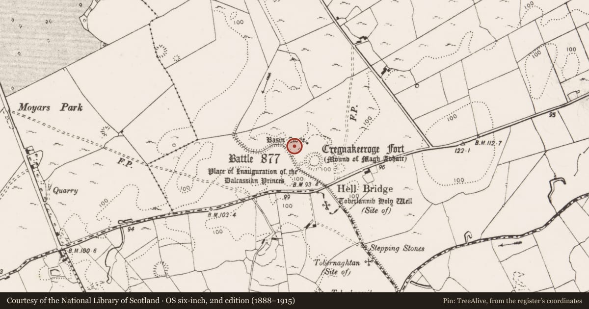 Ordnance Survey six-inch map, 2nd edition (1888–1915) covering the location of Ringfort - rath, Toonagh, County Clare, with a pin at the register's coordinates