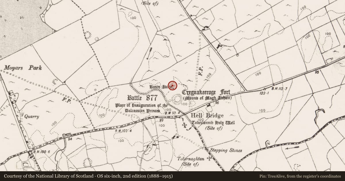 Ordnance Survey six-inch map, 2nd edition (1888–1915) covering the location of Field boundary, Toonagh, County Clare, with a pin at the register's coordinates