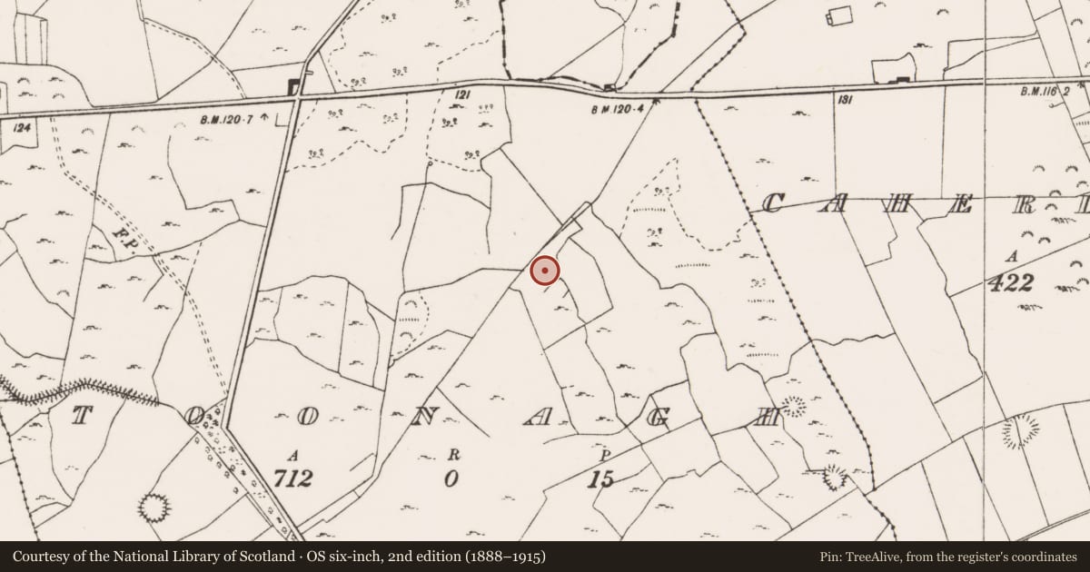 Ordnance Survey six-inch map, 2nd edition (1888–1915) covering the location of Megalithic tomb - unclassified, Toonagh, County Clare, with a pin at the register's coordinates