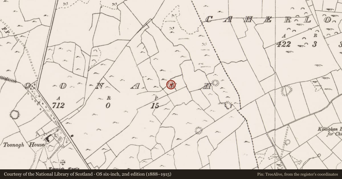 Ordnance Survey six-inch map, 2nd edition (1888–1915) covering the location of Earthwork, Toonagh, County Clare, with a pin at the register's coordinates