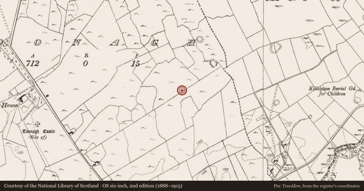 Ordnance Survey six-inch map, 2nd edition (1888–1915) covering the location of Ringfort - cashel, Toonagh, County Clare, with a pin at the register's coordinates