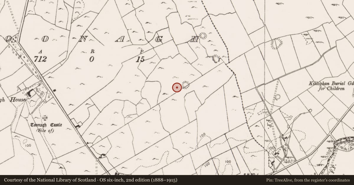 Ordnance Survey six-inch map, 2nd edition (1888–1915) covering the location of Field system, Toonagh, County Clare, with a pin at the register's coordinates