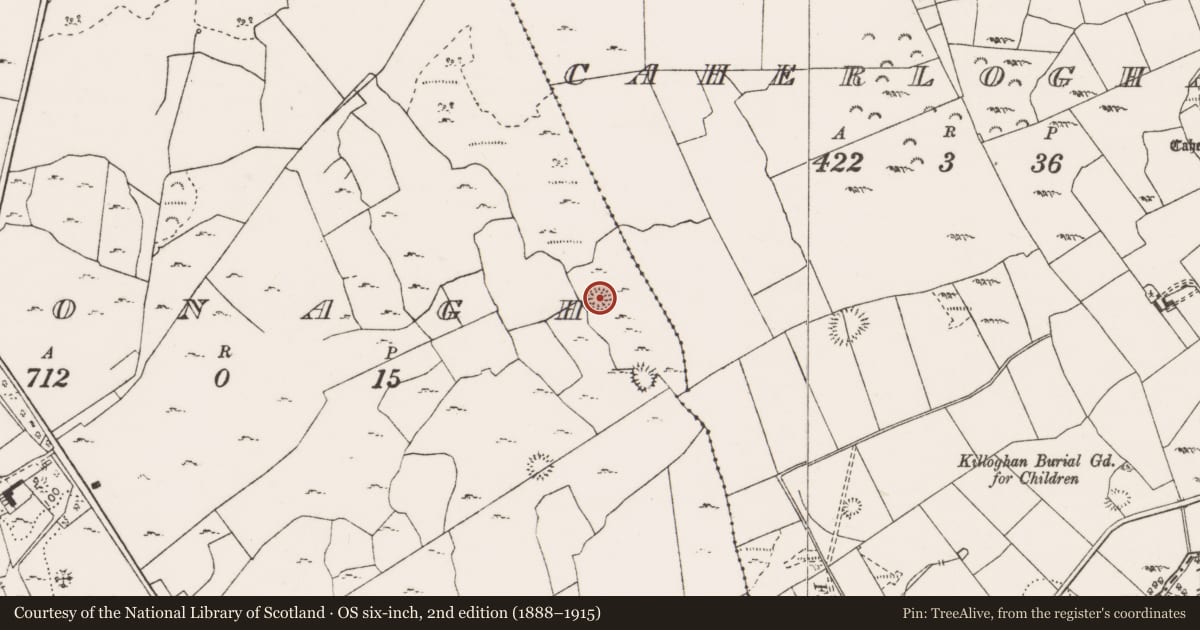 Ordnance Survey six-inch map, 2nd edition (1888–1915) covering the location of Ringfort - cashel, Toonagh, County Clare, with a pin at the register's coordinates