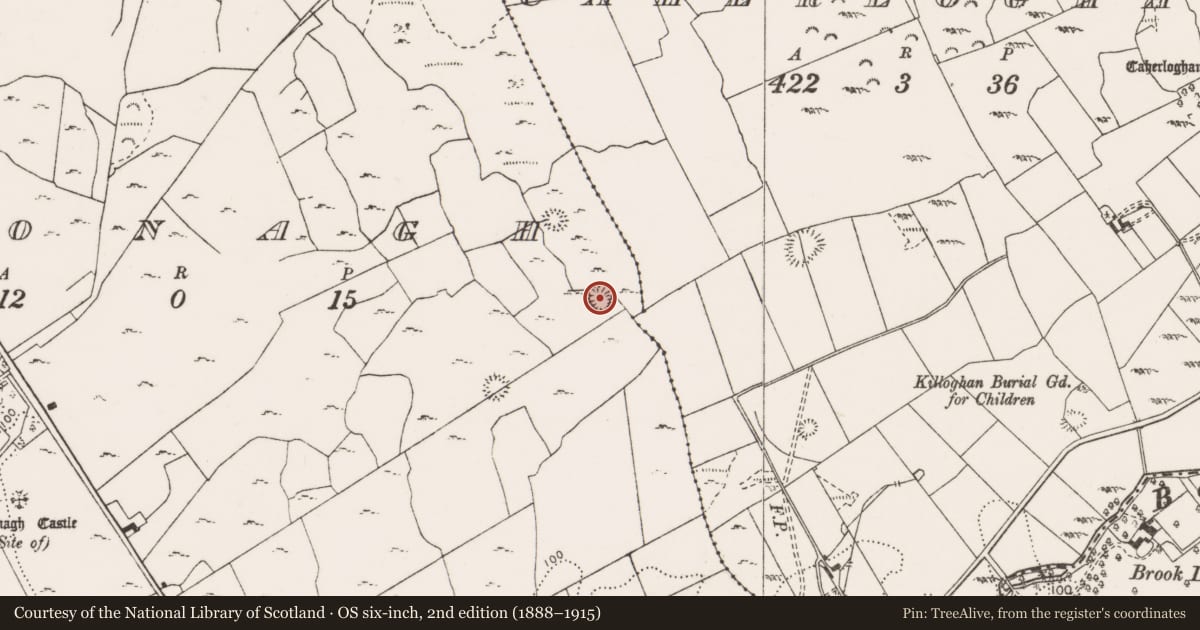 Ordnance Survey six-inch map, 2nd edition (1888–1915) covering the location of Ringfort - cashel, Toonagh, County Clare, with a pin at the register's coordinates