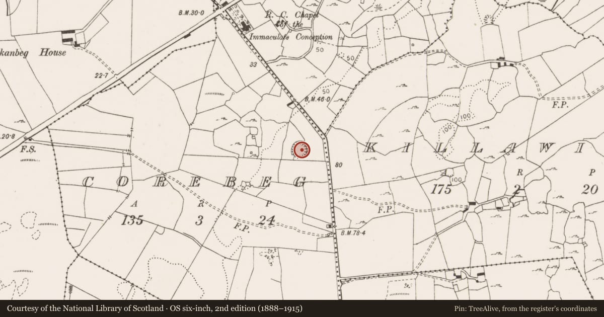 Ordnance Survey six-inch map, 2nd edition (1888–1915) covering the location of Ringfort - rath, Corebeg, County Clare, with a pin at the register's coordinates