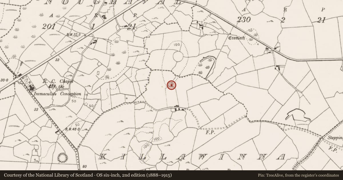 Ordnance Survey six-inch map, 2nd edition (1888–1915) covering the location of Ringfort - cashel, Killawinna, County Clare, with a pin at the register's coordinates