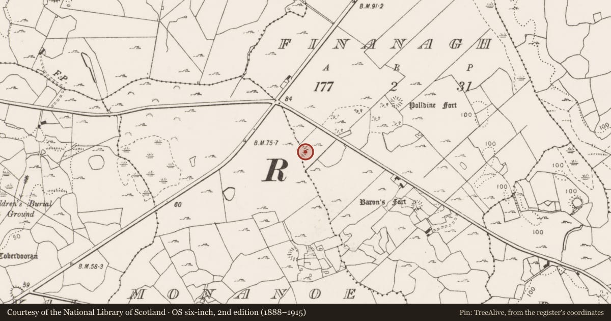Ordnance Survey six-inch map, 2nd edition (1888–1915) covering the location of Ringfort - cashel, Finanagh, Monanoe, County Clare, with a pin at the register's coordinates