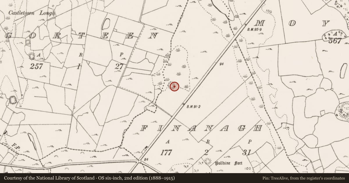 Ordnance Survey six-inch map, 2nd edition (1888–1915) covering the location of Ringfort - cashel, Finanagh, County Clare, with a pin at the register's coordinates