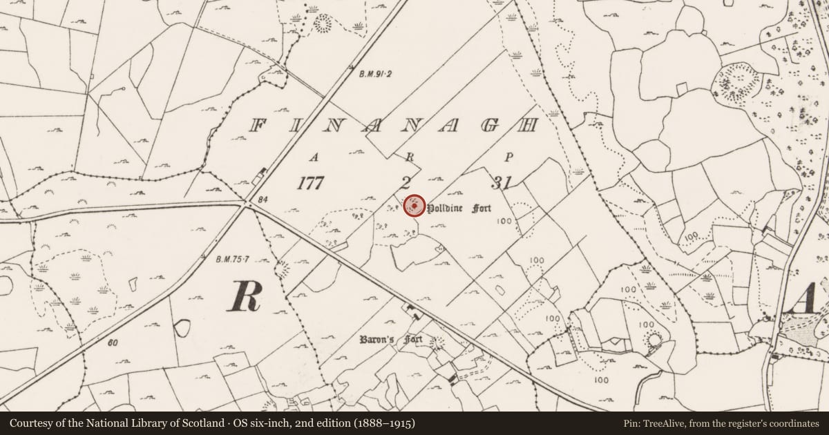 Ordnance Survey six-inch map, 2nd edition (1888–1915) covering the location of Ringfort - cashel, Finanagh, County Clare, with a pin at the register's coordinates