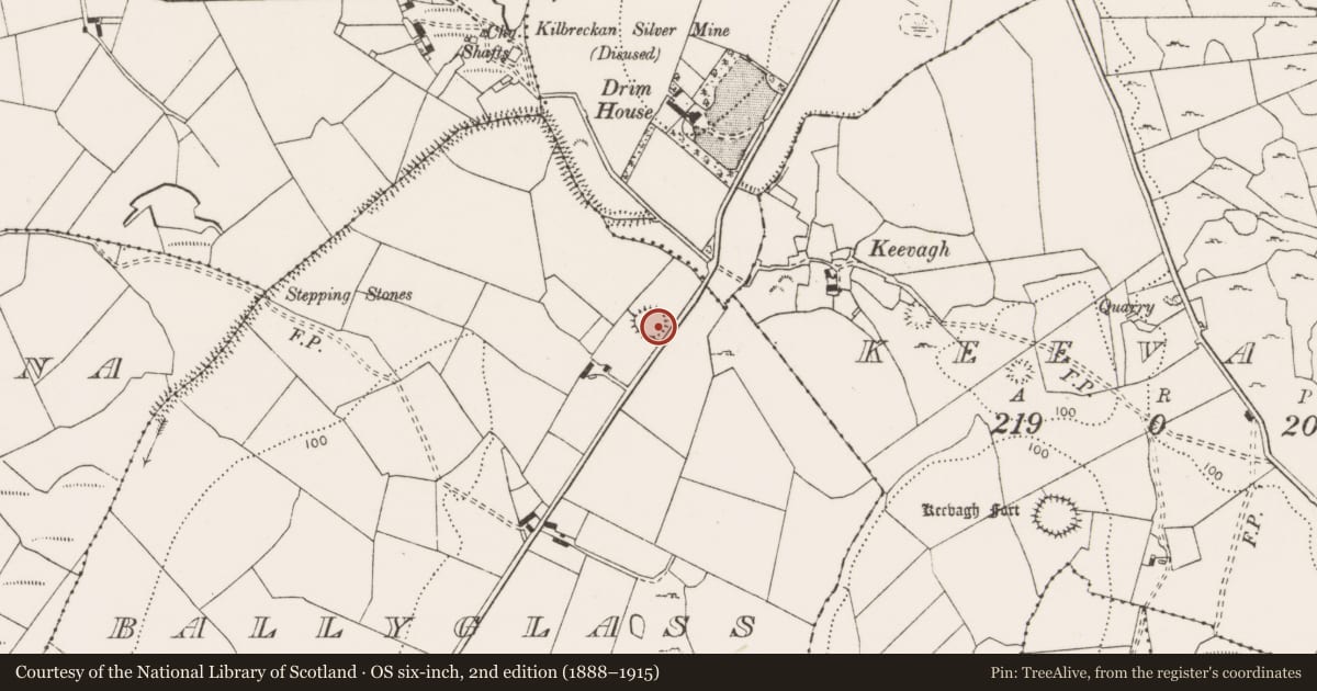 Ordnance Survey six-inch map, 2nd edition (1888–1915) covering the location of Ringfort - cashel, Ballyglass, County Clare, with a pin at the register's coordinates