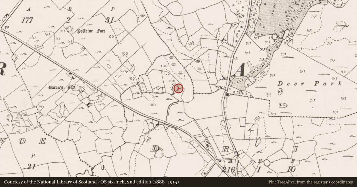 Ordnance Survey six-inch map, 2nd edition (1888–1915) covering the location of Ringfort - cashel, Drim, County Clare, with a pin at the register's coordinates