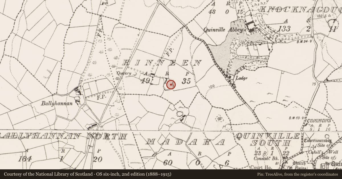 Ordnance Survey six-inch map, 2nd edition (1888–1915) covering the location of Ringfort - cashel, Rinneen, County Clare, with a pin at the register's coordinates