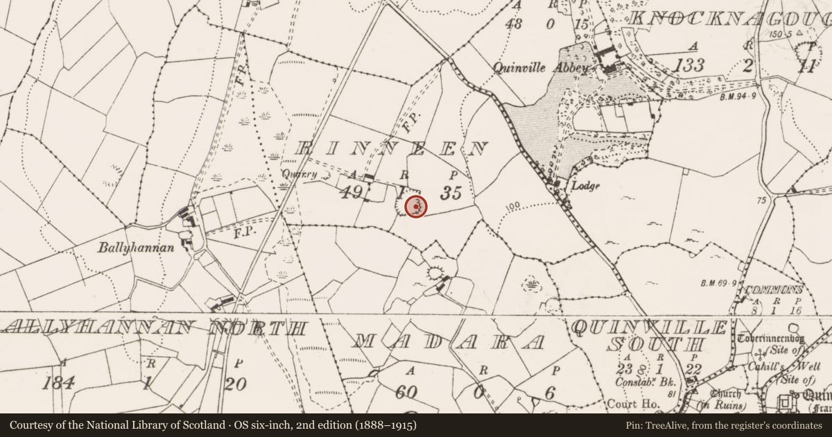 Ordnance Survey six-inch map, 2nd edition (1888–1915) covering the location of Cairn - unclassified, Rinneen, County Clare, with a pin at the register's coordinates