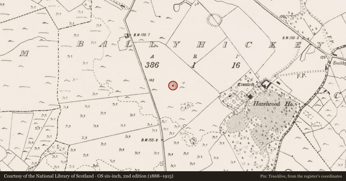 Ordnance Survey six-inch map, 2nd edition (1888–1915) covering the location of Ringfort - cashel, Ballyhickey, County Clare, with a pin at the register's coordinates