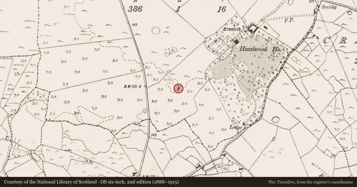 Ordnance Survey six-inch map, 2nd edition (1888–1915) covering the location of Designed landscape - tree-ring, Ballyhickey, County Clare, with a pin at the register's coordinates